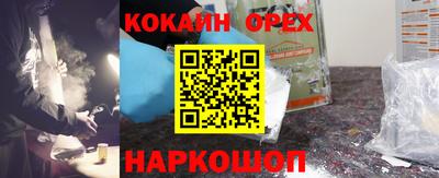 гидра Славгород