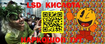 гидра Славгород