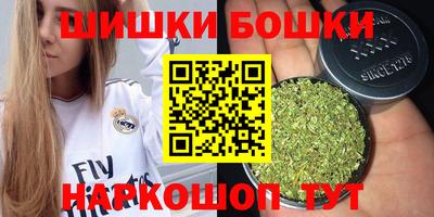 гидра Славгород