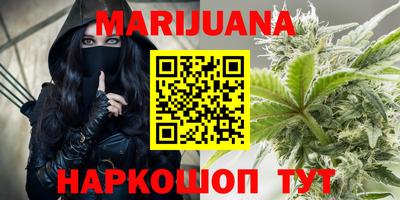 гидра Славгород
