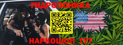 гидра Славгород