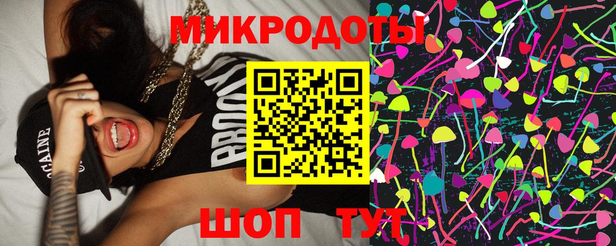 Псилоцибиновые грибы мицелий Новозыбков