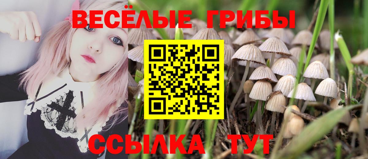 Галлюциногенные грибы мицелий  Псилоцибиновые грибы GOLDEN TEACHER  Вход с VPN  Новозыбков 